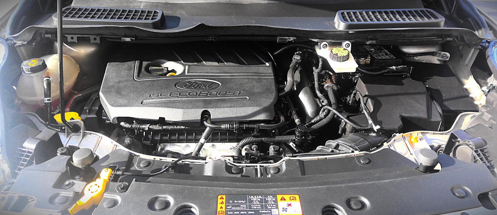2017 GOLD Ford Escape SE 4WD (1FMCU9GD5HU) with an 1.5L L4 DOHC 16V engine, 6A transmission, located at 502 S. Riverside Avenue, Medford, OR, 97501, (541) 773-3136, 42.322803, -122.867477 - Photo#8