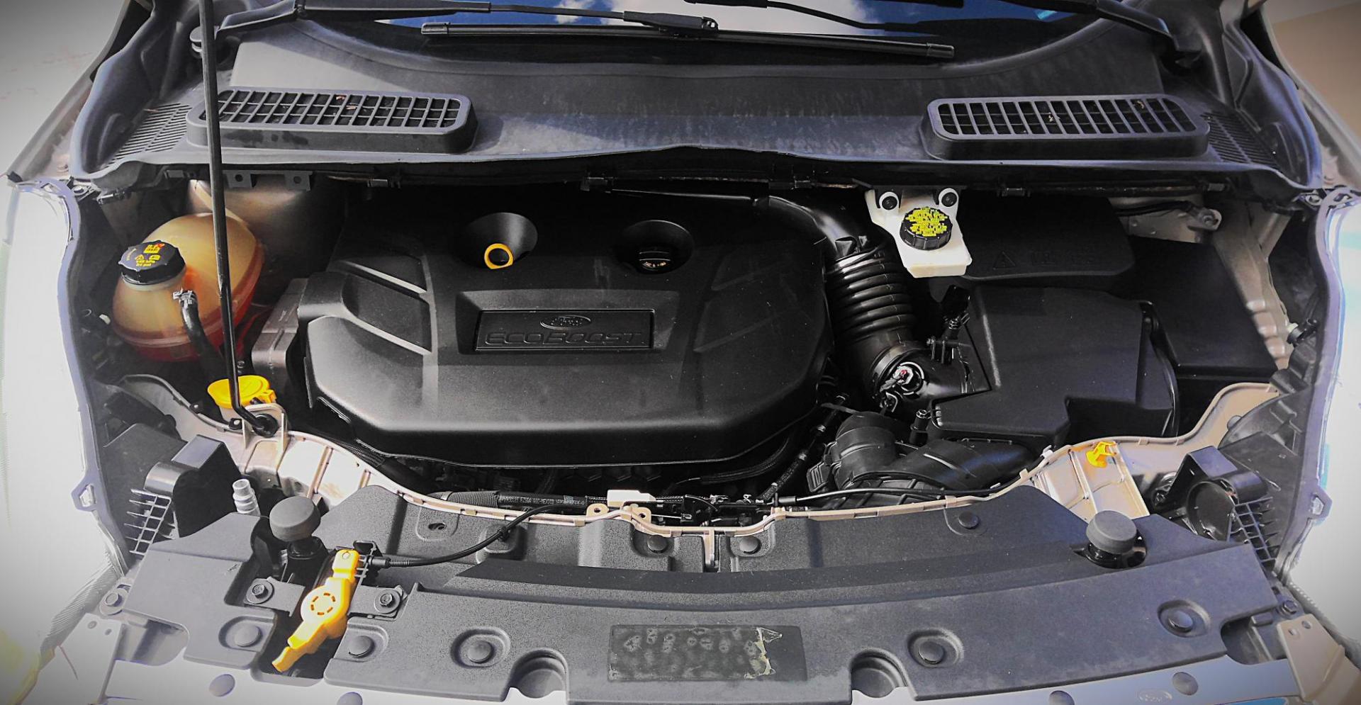 2017 GOLD Ford Escape SE 4WD (1FMCU9G99HU) with an 2.0L L4 DOHC 16V engine, 6A transmission, located at 502 S. Riverside Avenue, Medford, OR, 97501, (541) 773-3136, 42.322803, -122.867477 - Photo#8