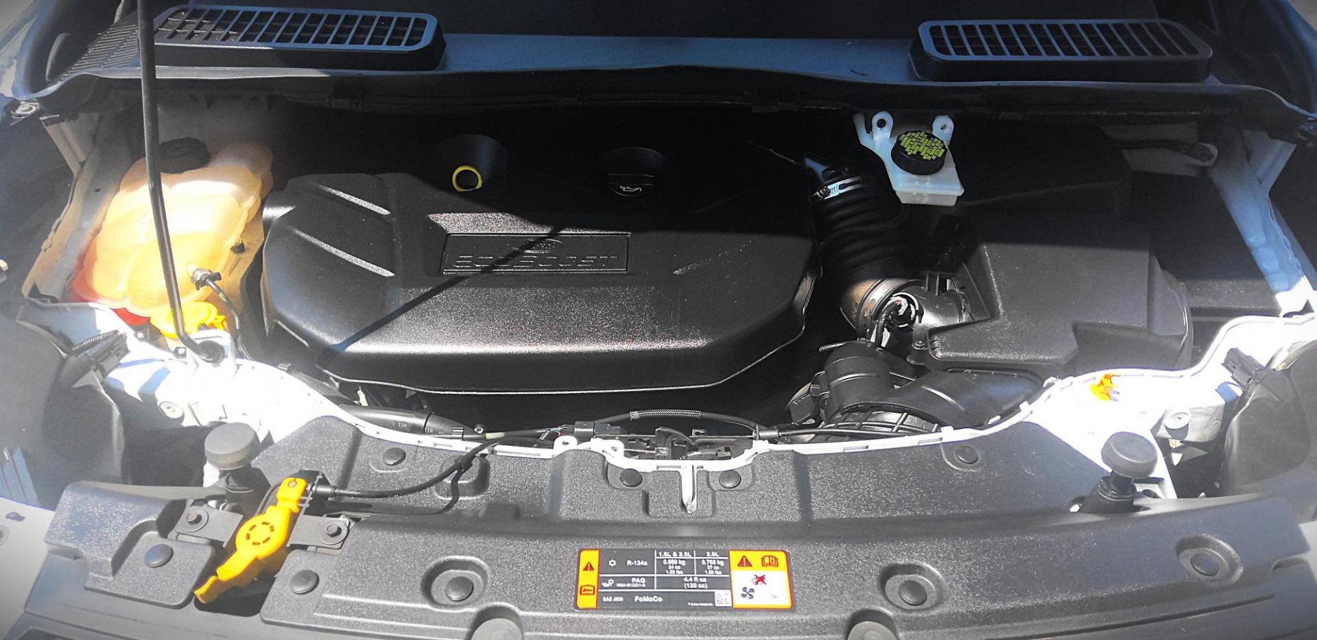 2015 WHITE Ford Escape SE 4WD (1FMCU9G92FU) with an 2.0L L4 DOHC 16V engine, 6-Speed Automatic transmission, located at 502 S. Riverside Avenue, Medford, OR, 97501, (541) 773-3136, 42.322803, -122.867477 - Photo#10