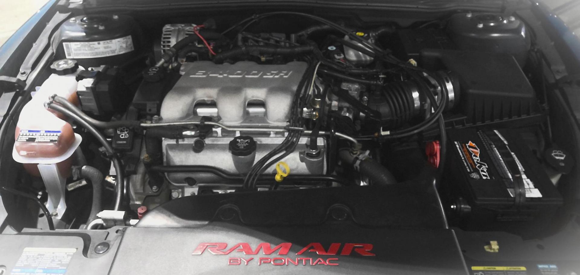 2005 GRAY Pontiac Grand AM GT coupe (1G2NW12E15M) with an 3.4L V6 OHV 12V engine, 4-Speed Automatic Overdrive transmission, located at 502 S. Riverside Avenue, Medford, OR, 97501, (541) 773-3136, 42.322803, -122.867477 - Photo#11