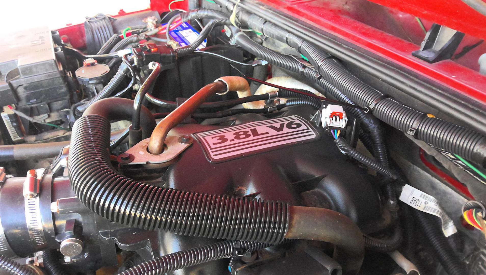 2010 RED Jeep Wrangler Sport 4WD (1J4AA2D14AL) with an 3.8L V6 OHV 12V engine, located at 502 S. Riverside Avenue, Medford, OR, 97501, (541) 773-3136, 42.322803, -122.867477 - Photo#10