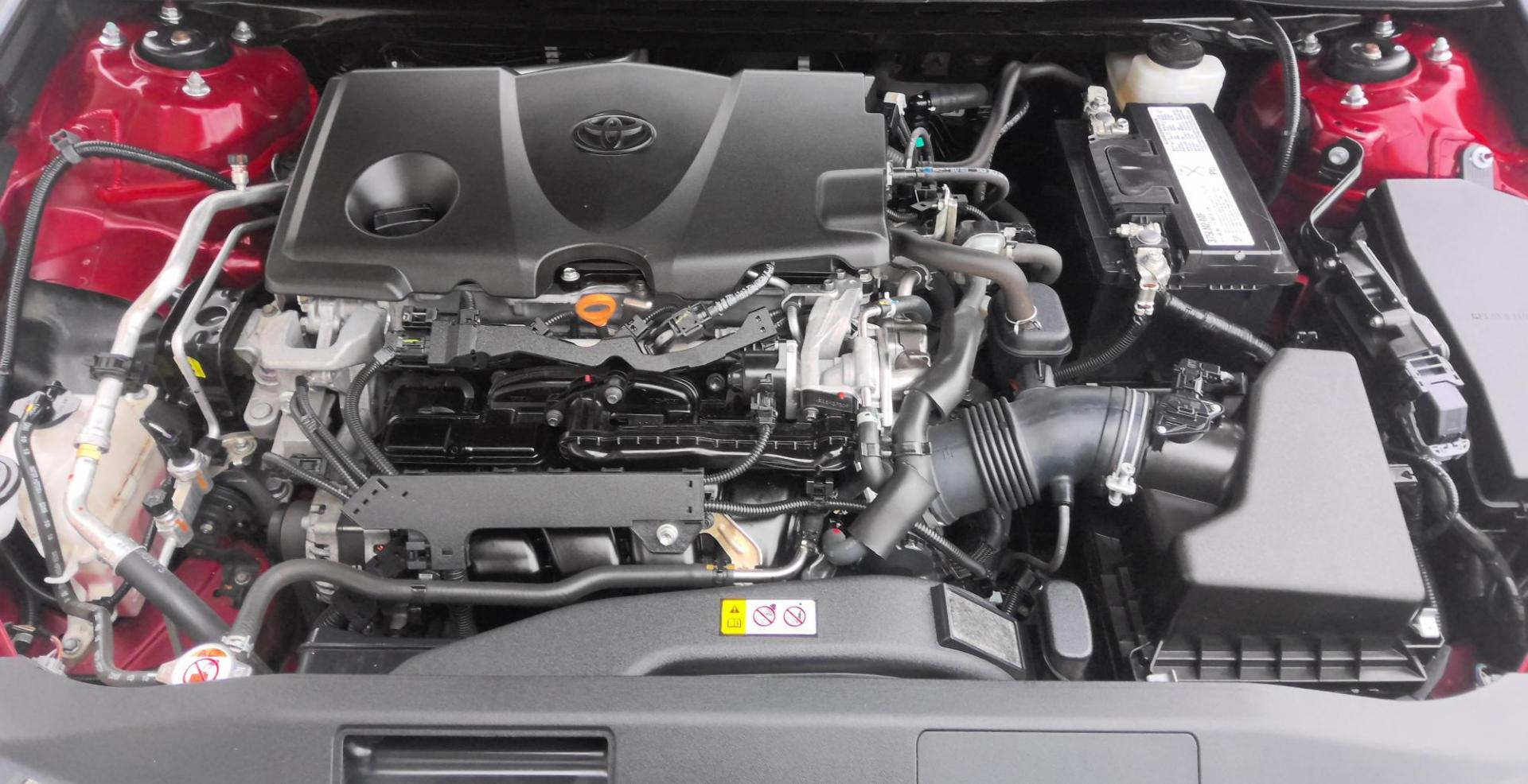 2019 RED Toyota Camry LE (4T1B11HK3KU) with an 2.5L L4 DOHC 16V engine, 8A transmission, located at 502 S. Riverside Avenue, Medford, OR, 97501, (541) 773-3136, 42.322803, -122.867477 - Photo#12